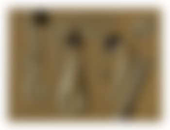 Untitled (Dunstlocher drawing) (preview)
