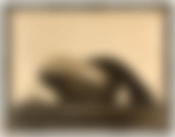 Airship Akron (preview)