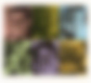 Six Colorful Gags (Male) (preview)