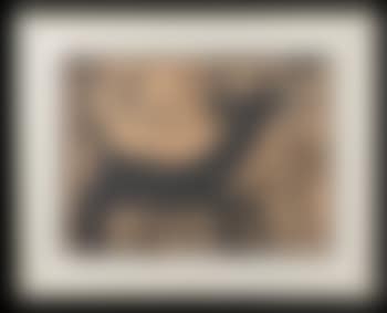 Perro (preview)