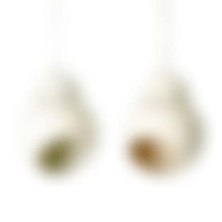 "Bilberry" (preview)