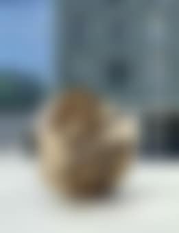 Giroscopio (preview)