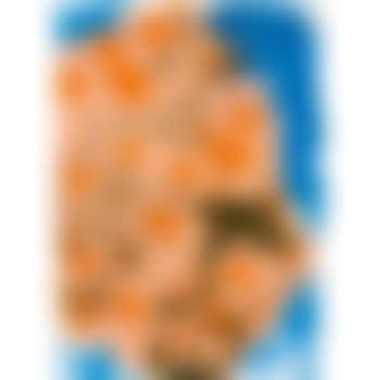 Blumen (preview)