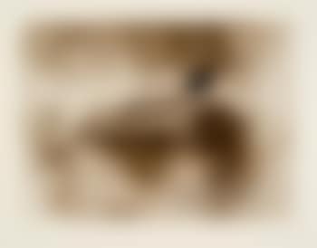 Petjada i signatures (Fußstapfen und Zeichen) (preview)
