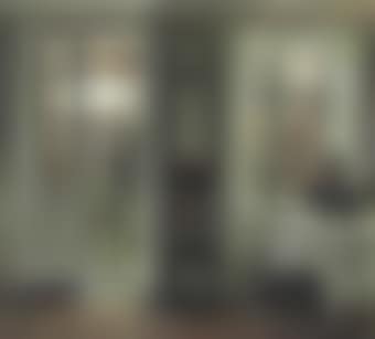 The Artist's wife sitting at a window in a sunlit room (preview)