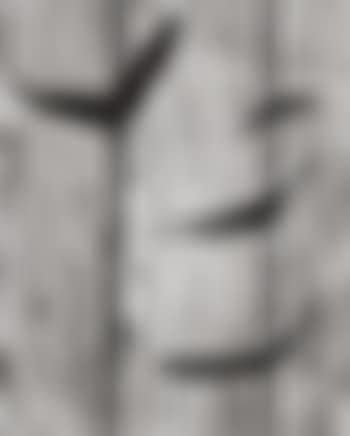 Flying Leaves (preview)