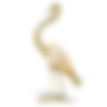 A bird (preview)