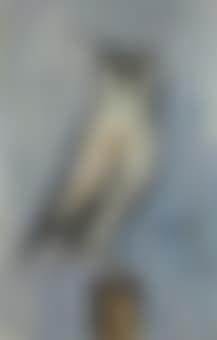 Hibou ou Le Grand Duc (preview)
