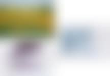 Diana. Pevertitis. Girasoli by Giannetto Fieschi (preview)