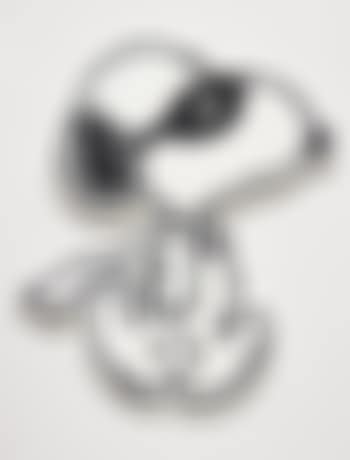 Snoopy: Red Baron (preview)
