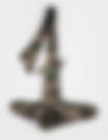 Pilz (Tanfarben) (preview)