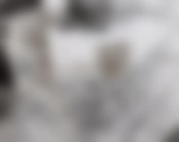 Ohne Titel (preview)