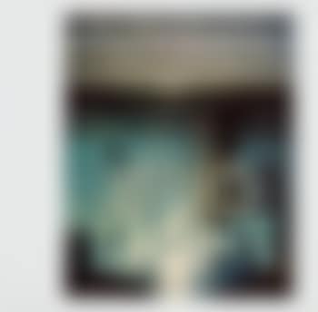 Bud Light (preview)