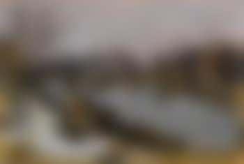 The Seine in Paris (preview)