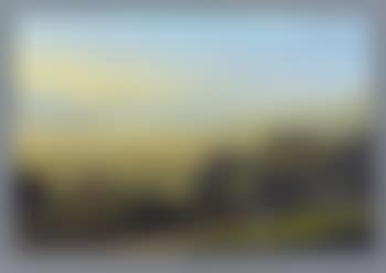 Vue de la ville d'Altstetten, dans la vallée du Rhin (preview)