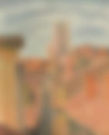 Les toits, Albi (preview)