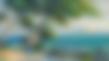 Südliche Küstenpartie (preview)