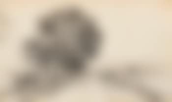 Paysage (preview)