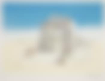 Paranoic Village (preview)