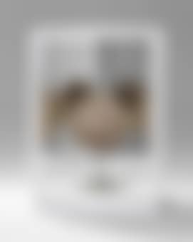 Untitled (Spiegelkasten) (preview)