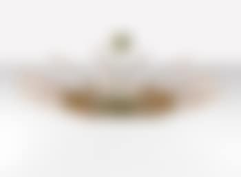 'Dahlia' Sixteen-armed Chandelier, Model No. 1563, Circa 1955 (preview)