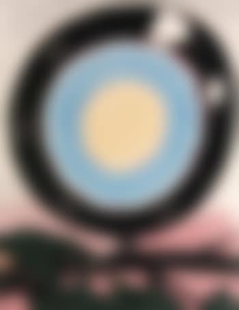 Der Flaggenfalter (preview)