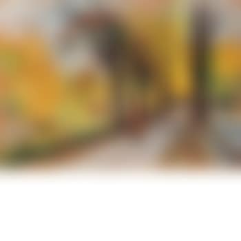 The Tiergarten, Berlin (preview)