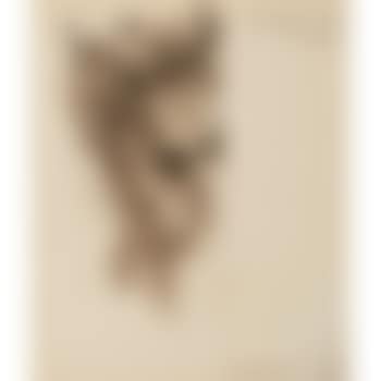 Portrait of Edulji Dinshaw (preview)