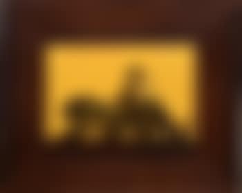 Leopard (preview)