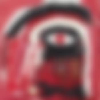 Parteichef 'Owraind' der Hot Daddy vom Silberli (preview)