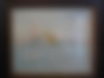 Vue de Venise (preview)
