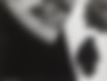 Nature morte (preview)