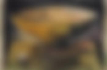 Altar Piece (preview)