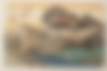 Fujisawa (preview)