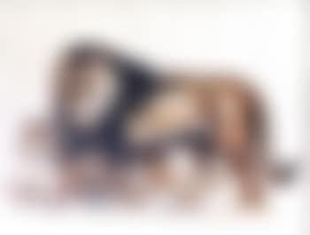 Lion et lionne (preview)