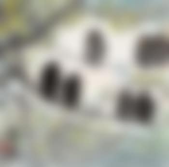 Pear blossom and bird (preview)