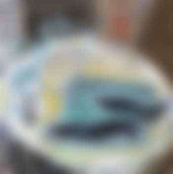 Still life (preview)