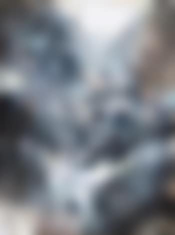Subtilité hivernale (preview)