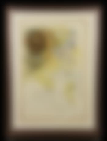 [Untitled] (preview)