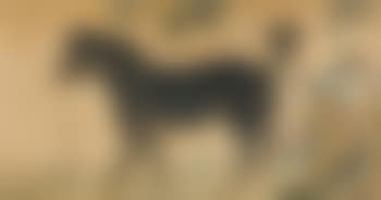 A large painting of a Dog by Lang Shining (preview)