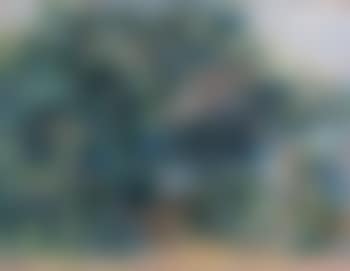 El pozo (preview)