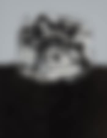 El perro de Goya (preview)