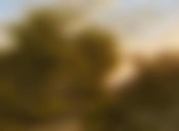 Forest landscape with livestock train (preview)
