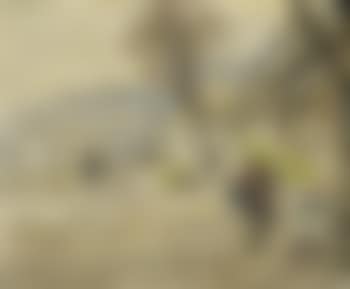 On the bank of the seine in Paris (preview)