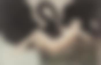 Leda and the Swan (preview)