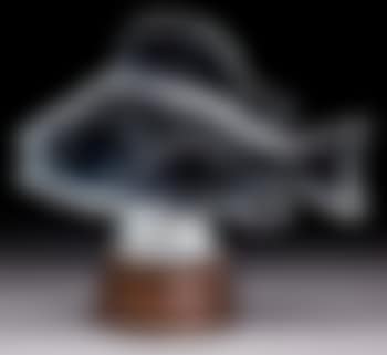 A Gros Poisson, Algues (preview)