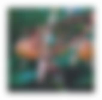 Untitled (preview)