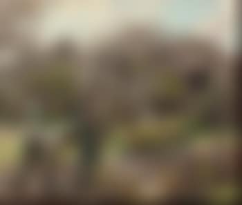 Plantation de pommes de terre (preview)