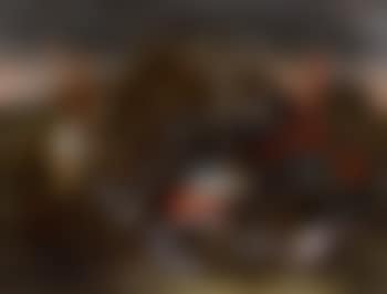 Still life with sea creatures (preview)