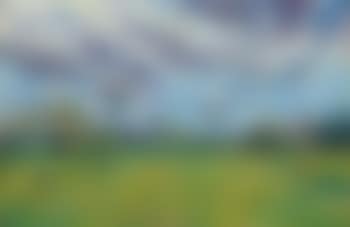 Paysage Sous Un Ciel Mouvementé (preview)